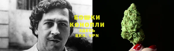 MESCALINE Горняк