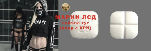 соль ск Горнозаводск