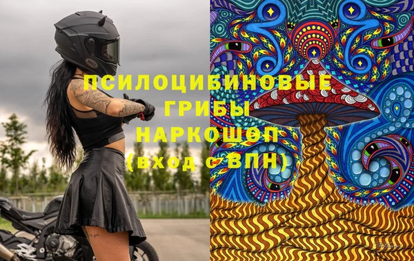 крисы Горно-Алтайск