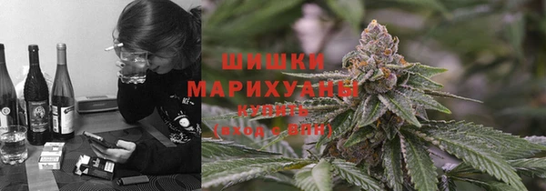крисы Горно-Алтайск